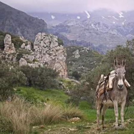 Traditional Cretan House Lithostrati Karidi Village Екстер'єр фото