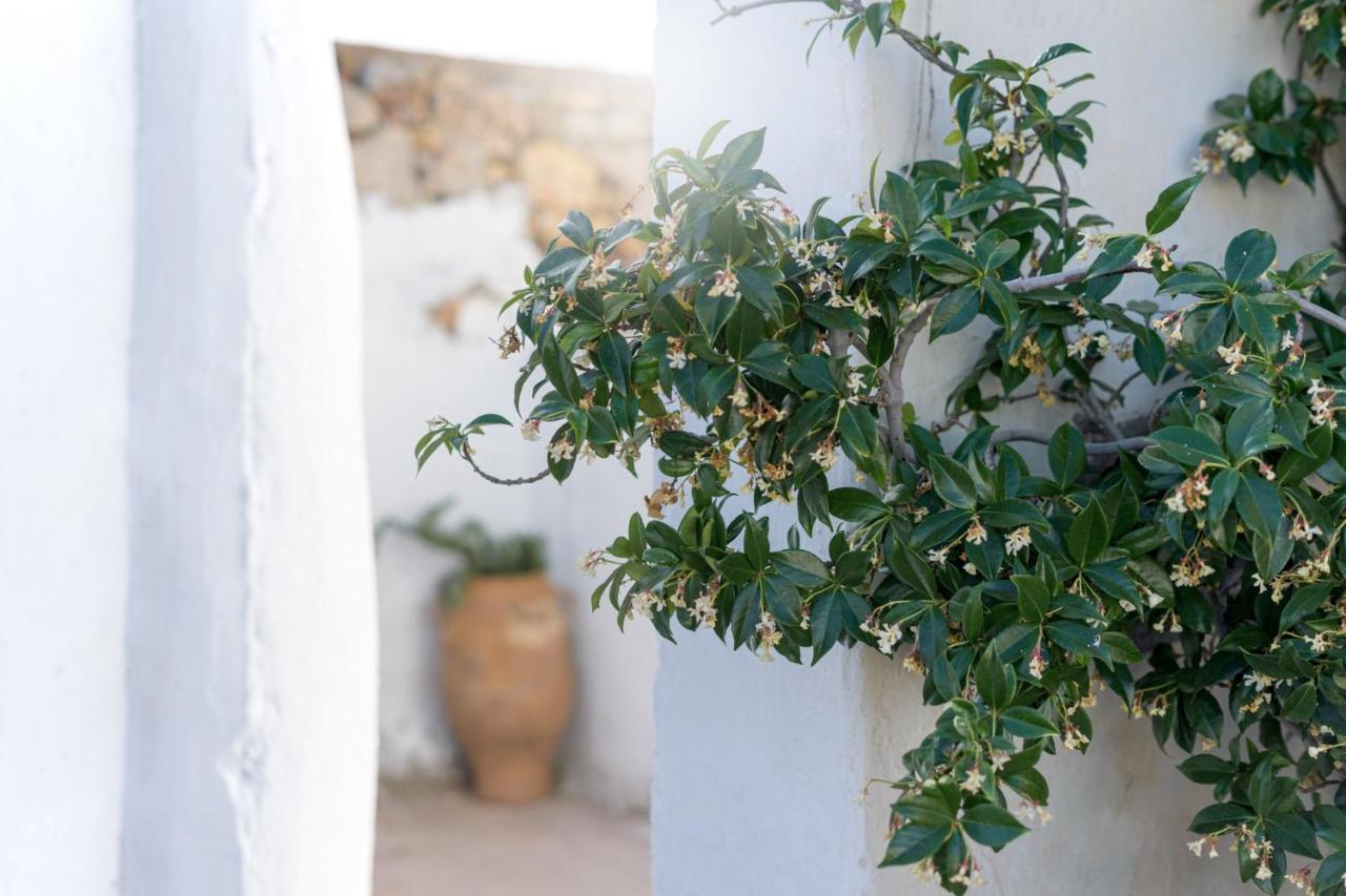 Traditional Cretan House Lithostrati Karidi Village Екстер'єр фото