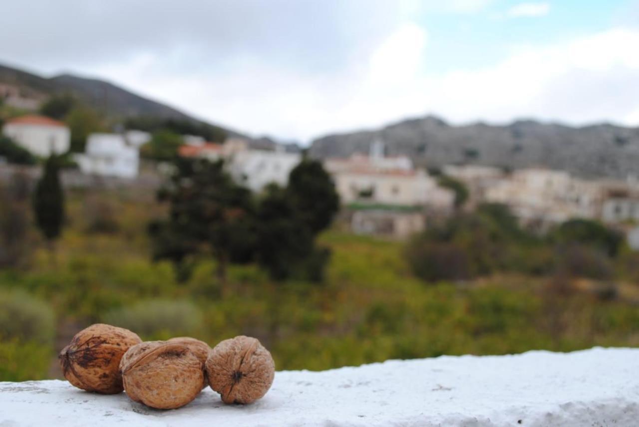 Traditional Cretan House Lithostrati Karidi Village Екстер'єр фото