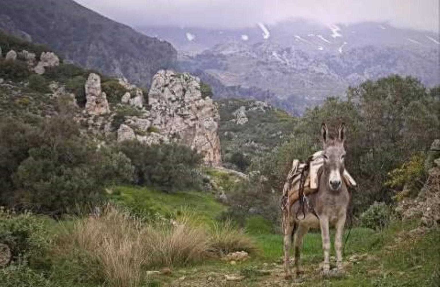 Traditional Cretan House Lithostrati Karidi Village Екстер'єр фото